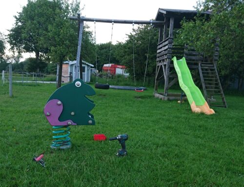 Der Frosch 🐸 lebt !